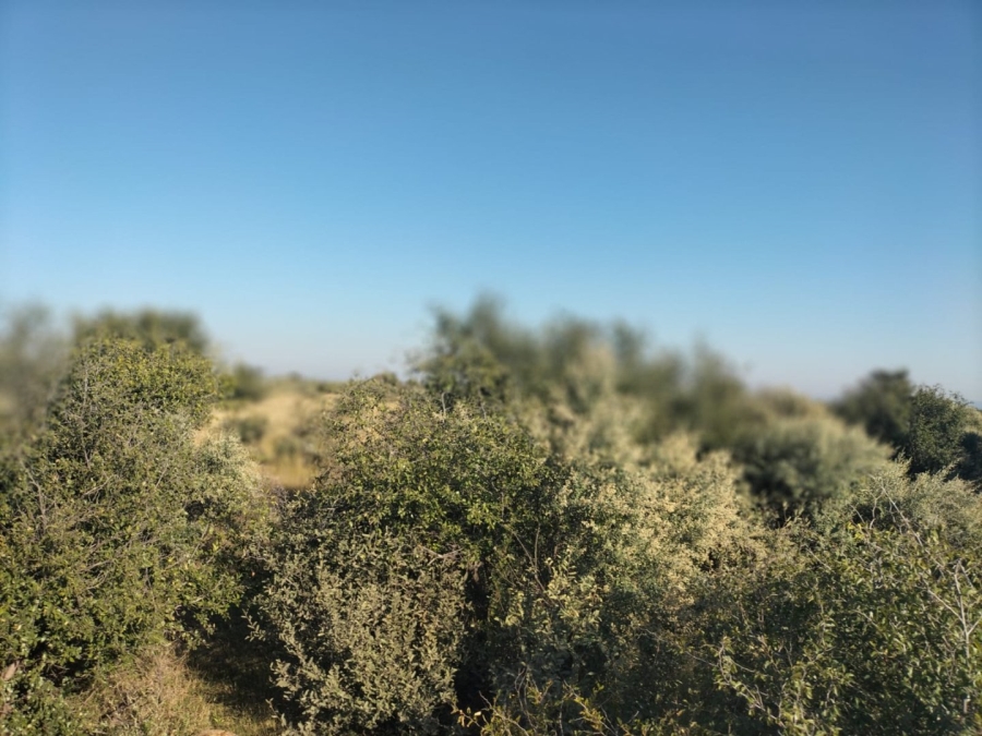  Bedroom Property for Sale in Jan Kempdorp Rural Northern Cape
